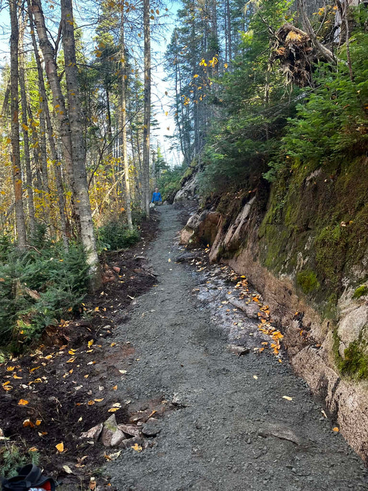 Contribution volontaire